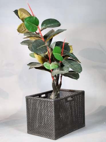 Wire Cube Planter PL-56A