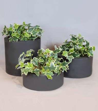 Round Planter Trio PL-74